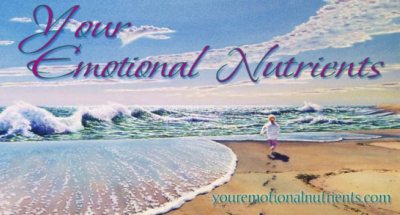 Your Emotional Nutrients banner